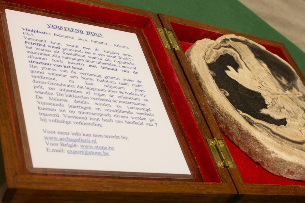 Tentoonstelling Timmerveld